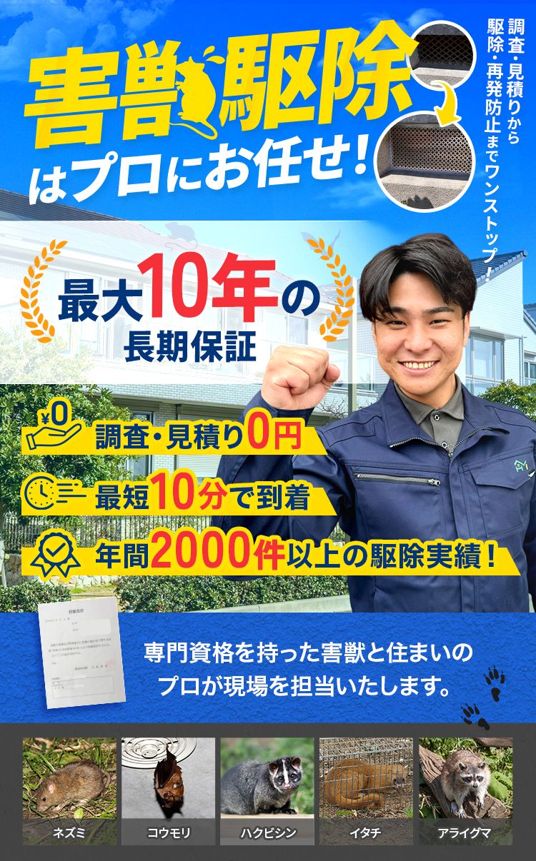 害獣駆除はプロにお任せ! 最大10年の長期保証 調査・見積り0円 最短10分で到着 年間2000件以上の駆除実績! 対応害獣:ネズミ・イタチ・ハクビシン・タヌキ・コウモリ・アライグマ・アナグマ・テンなど